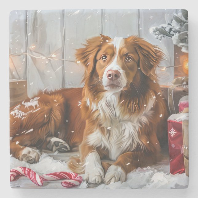 Nova Scotia Anka Toller Hund julfesten Stenunderlägg (Framsidan)