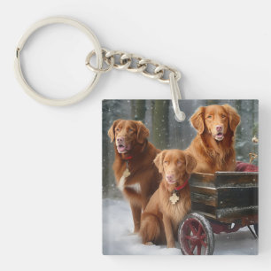Nova Scotia Anka Toller Retriever Snowy Sleigh
