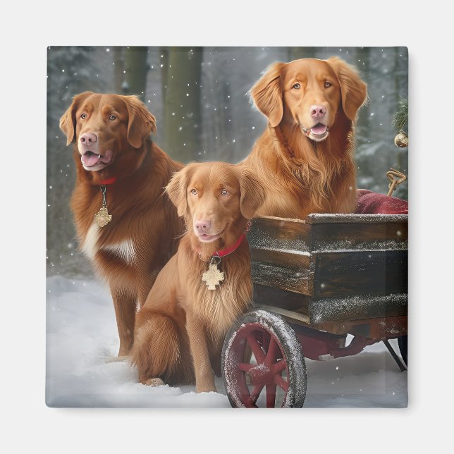 Nova Scotia Anka Toller Retriever Snowy Sleigh Magnet (Framsidan)