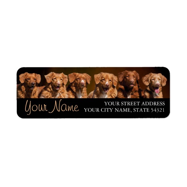 Nova Scotia Anka Tollers Return-adressetikett Returadress Etikett (Framsidan)