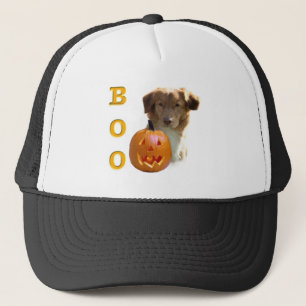 Nova Scotia Anka Tolling Boo Keps