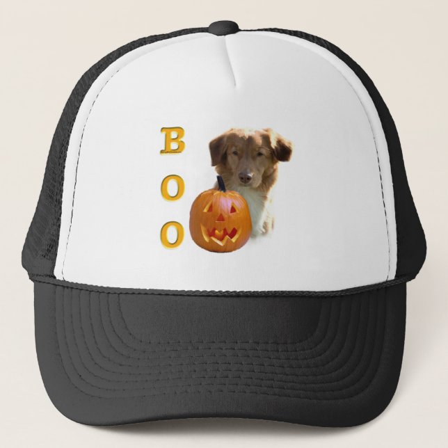 Nova Scotia Anka Tolling Boo Keps (Framsida)