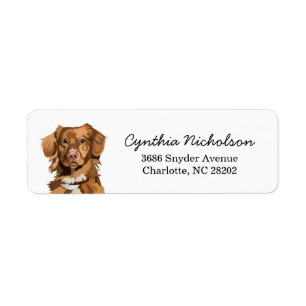 Nova Scotia Anka Tolling Retricher Hund Returadress Etikett