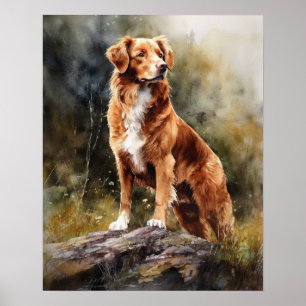 Nova Scotia Anka Tolling Retrieve Hund Art Poster