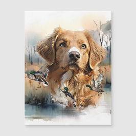 Nova Scotia Anka Tolling Retriever, Art