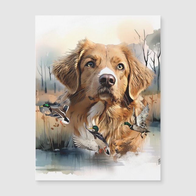 Nova Scotia Anka Tolling Retriever, Art (Framsida)