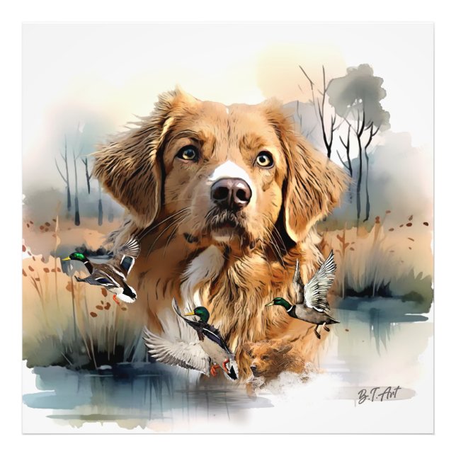 Nova Scotia Anka Tolling Retriever, Art Fototryck (Framsidan)