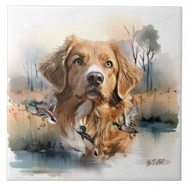 Nova Scotia Anka Tolling Retriever, Art Kakelplatta