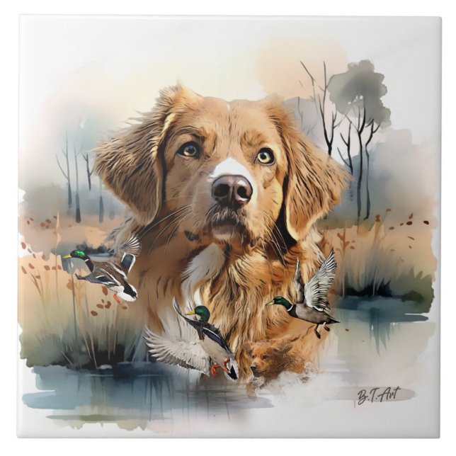 Nova Scotia Anka Tolling Retriever, Art Kakelplatta (Framsidan)