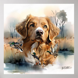 Nova Scotia Anka Tolling Retriever, Art Poster
