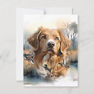 Nova Scotia Anka Tolling Retriever, Art Vykort