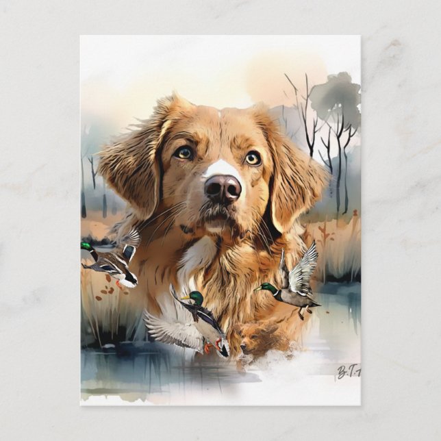 Nova Scotia Anka Tolling Retriever, Art Vykort (Framsida)