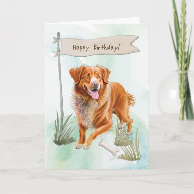 Nova Scotia Anka Tolling Retriever Birthday-tecken Kort (Framsida)