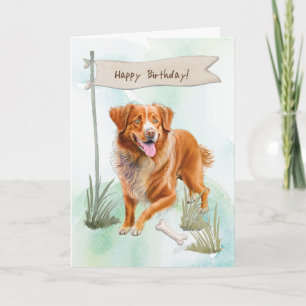 Nova Scotia Anka Tolling Retriever Birthday-tecken Kort