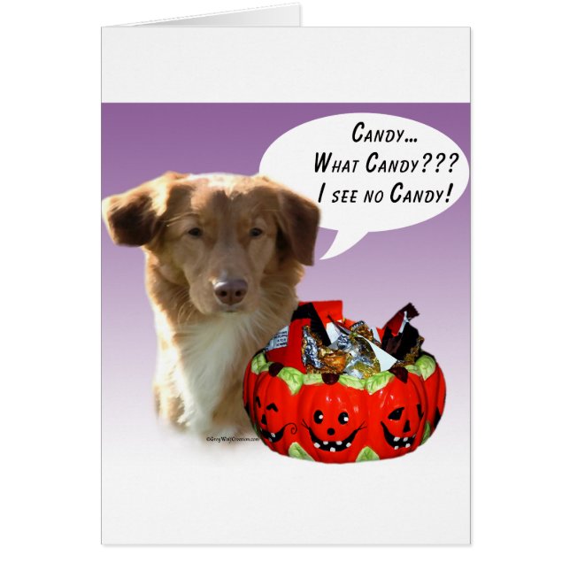 Nova Scotia Anka Tolling Retriever Halloween Candy Hälsningskort (Framsidan)