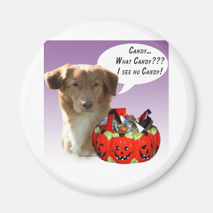 Nova Scotia Anka Tolling Retriever Halloween Candy Magnet