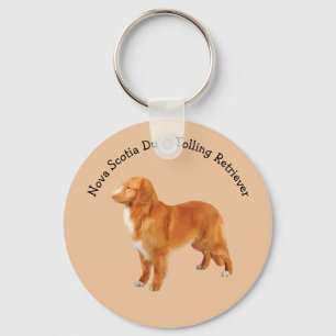 Nova Scotia Anka Tolling Retriever Hund aveln Nyckelring