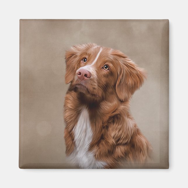 Nova Scotia Anka Tolling Retriever hund Magnet (Framsidan)