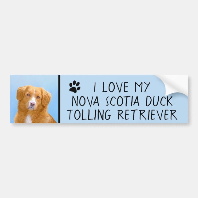 Nova Scotia Anka Tolling Retriever Hund Painting Bildekal (Framsidan)