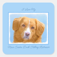 Nova Scotia Anka Tolling Retriever Hund Painting S