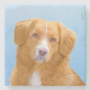 Nova Scotia Anka Tolling Retriever Hund Painting Stenunderlägg