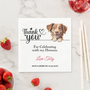 Nova Scotia Anka Tolling Retriever Hund Papper Pappersservett