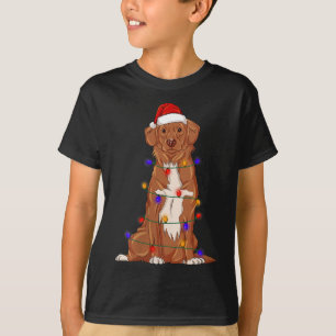 Nova Scotia Anka Tolling Retriever Hund Wearing Ch T Shirt