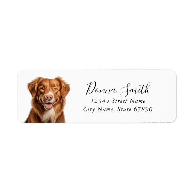 Nova Scotia Anka Tolling Retriever Labels Returadress Etikett (Framsidan)