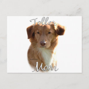Nova Scotia Anka Tolling Retriever Mamma 2 Vykort