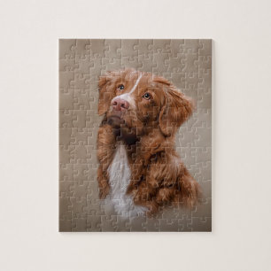 Nova Scotia Anka Tolling Retriever Pussel