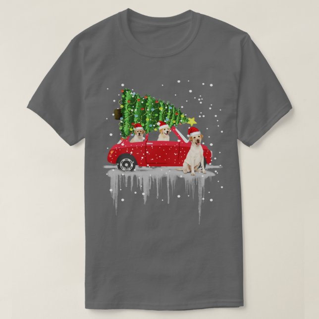 Nova Scotia Anka Tolling Retriever Rides Car Red T T Shirt (Design framsida)