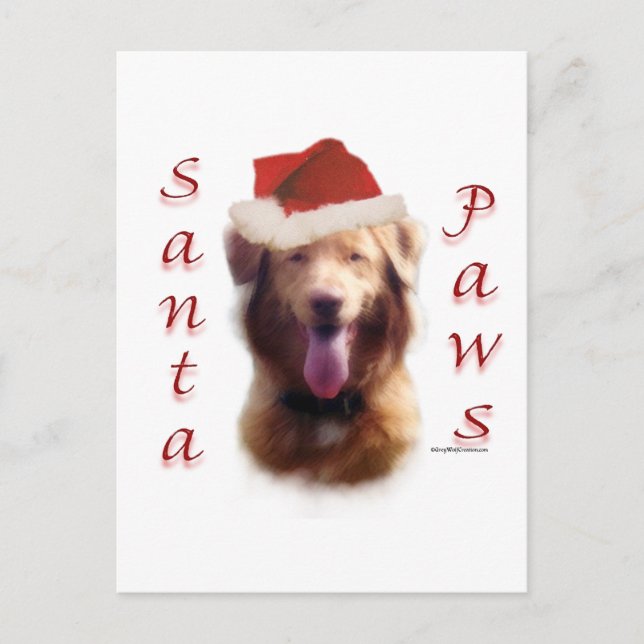 Nova Scotia Anka Tolling Retriever Santa Tassar Helg Vykort (Framsida)