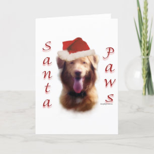 Nova Scotia Anka Tolling Retriever Santa Tassar Helgkort
