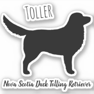 Nova Scotia Anka Tolling Retriever Silhouette Klistermärken