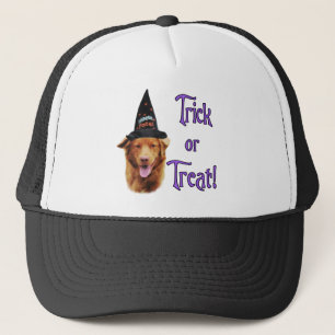 Nova Scotia Anka Tolling Retriever Trick Keps