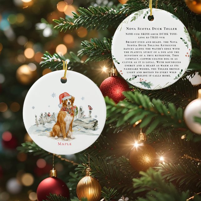 Nova Scotia Duck Toller Hund Monogram Julgransprydnad Keramik (Skapare uppladdad)