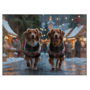Nova Scotia Duck Toller Jul Snö Semester