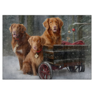 Nova Scotia Duck Toller Retriever Snöig släde