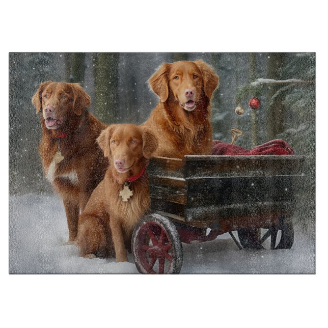 Nova Scotia Duck Toller Retriever Snöig släde (Framsidan)