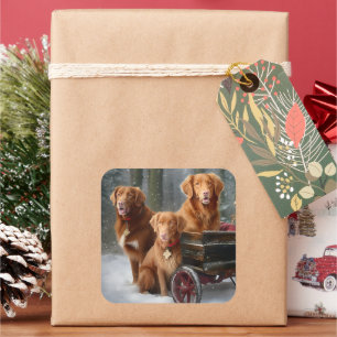 Nova Scotia Duck Toller Retriever Snöig släde Fyrkantigt Klistermärke