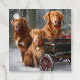 Nova Scotia Duck Toller Retriever Snöig släde Gåvor Etiketter