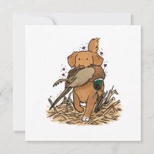 Nova Scotia Duck Tolling Retriever