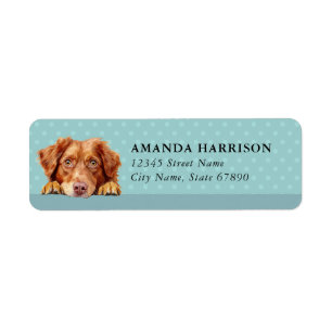 Nova Scotia Duck Tolling Retriever Adressetiketter Returadress Etikett