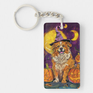 Nova Scotia Duck Tolling Retriever Halloween-häxa 