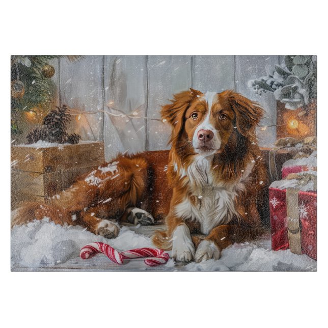 Nova Scotia Duck Tolling Retriever Hund Jul Festli (Framsidan)
