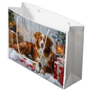 Nova Scotia Duck Tolling Retriever Hund Jul Festli