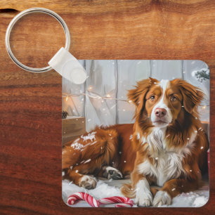 Nova Scotia Duck Tolling Retriever Hund Jul Festli Nyckelring