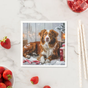 Nova Scotia Duck Tolling Retriever Hund Jul Festli Pappersservett