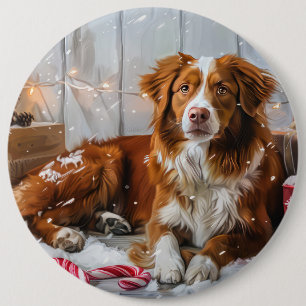 Nova Scotia Duck Tolling Retriever Hund Julfirande Knapp