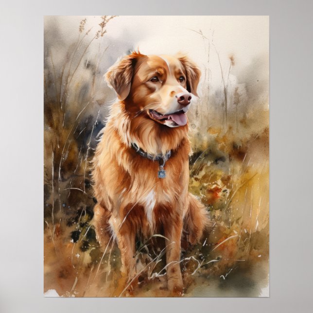 Nova Scotia Duck Tolling Retriever Hund Konst Affi Poster (Framsidan)